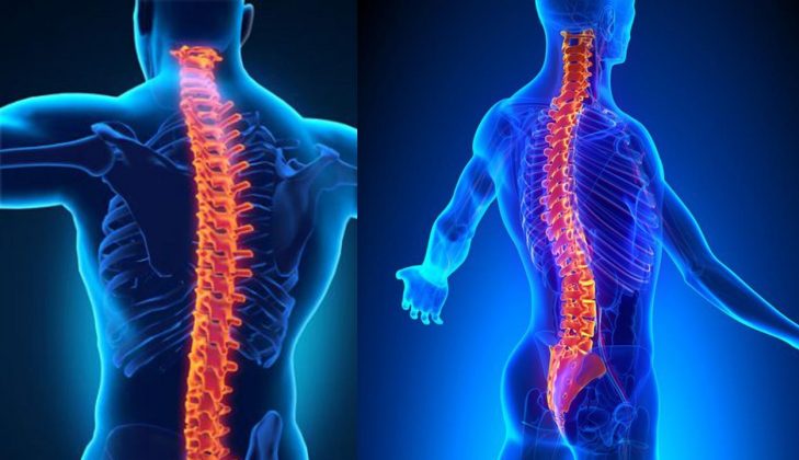 8 Consejos Para Mantener La Columna Vertebral Sana Y Fuerte Castex Online