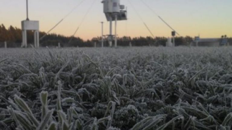 Ola de frío polar: La Pampa tendrá varios días con temperaturas muy bajas
