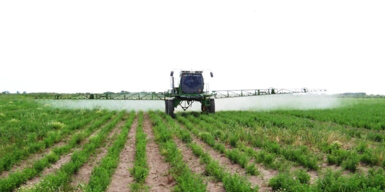 25 de Mayo exportó alfalfa a Emiratos Árabes y busca abrir nuevos mercados en Asia