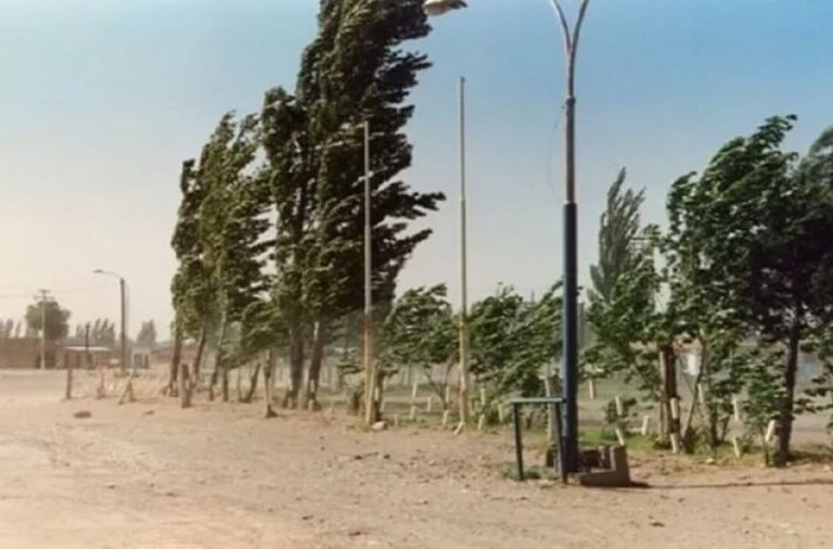 Alerta amarilla por fuertes vientos en gran parte de La Pampa para este miércoles