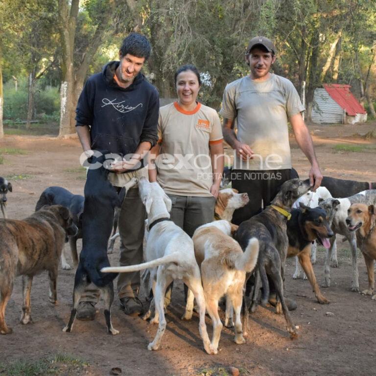 Día del Perro: el Predio Municipal alberga unos 60 animales y refuerzan el llamado a la adopción responsable