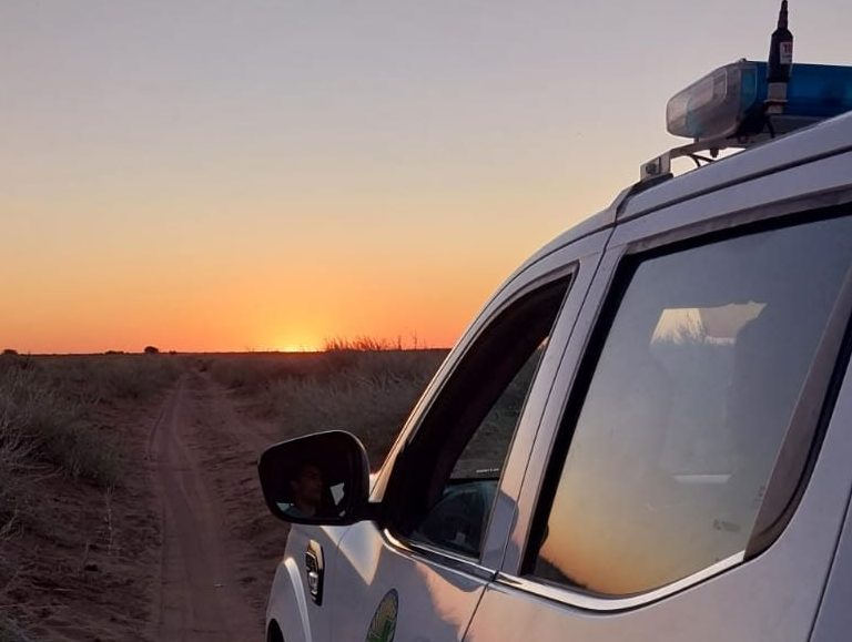 Tres detenidos por el millonario robo a un campo en la zona de Trilí