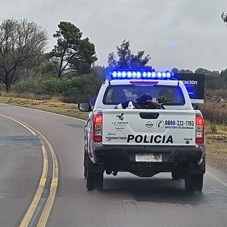 Hallaron con vida al adolescente de 14 años que era buscado en la zona rural de Speluzzi
