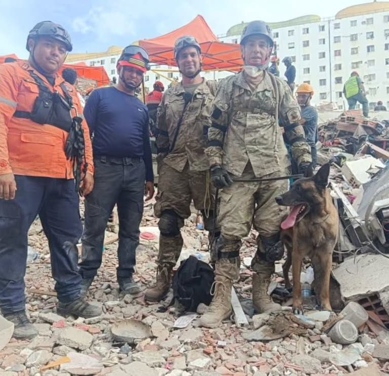 Bart, el perro argentino que ayudó a rescatar a dos niños entre los escombros en Venezuela