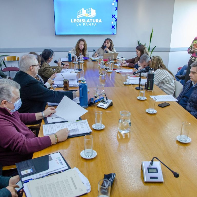 Legislatura pampeana: avanzan cambios en residencias para adultos mayores y Quetrequén y Speluzzi serán municipios