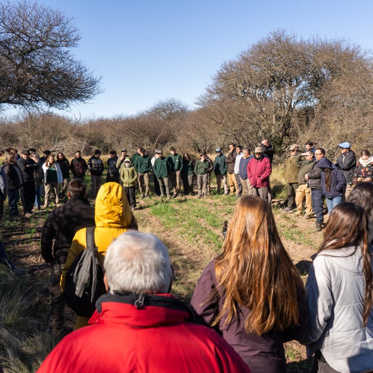 Gran convocatoria en Caleufú para una jornada sobre manejo de bosque nativo y producción ganadera