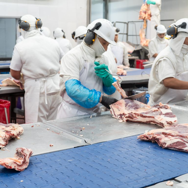 La Pampa exportó un 11% menos en el primer trimestre por la fuerte caída de la carne bovina
