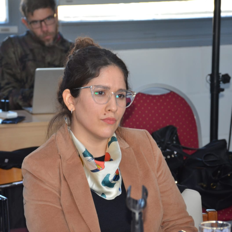 Legislatura: la Defensoría de Niñas, Niños y Adolescentes expuso su trabajo ante diputados provinciales