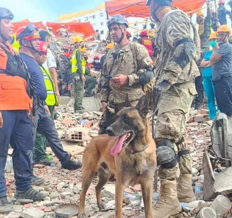 La misión argentina rescató con vida a dos niños atrapados bajo los escombros en Venezuela