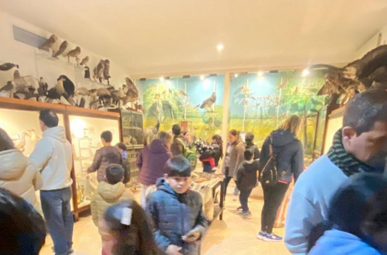 El Museo Provincial de Historia Natural renueva sus propuestas para disfrutar en vacaciones de invierno