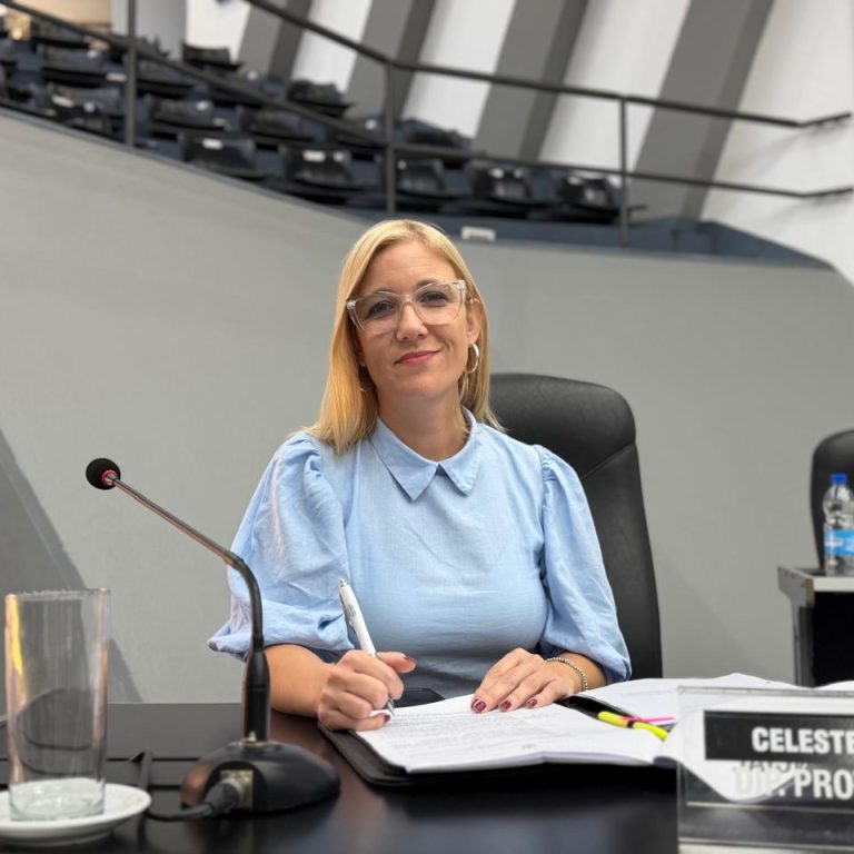 Impulsan un proyecto para incorporar la enseñanza obligatoria de Inteligencia Artificial en las escuelas secundarias de La Pampa