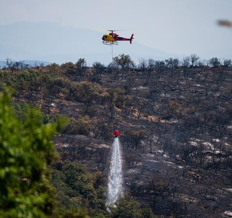España enfrenta el mayor incendio forestal de su historia: ya arrasó unas 50.000 hectáreas en Ávila