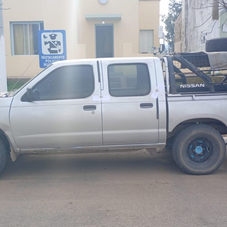 Caza ilegal en Rucanelo: secuestraron un rifle, municiones y 20 liebres