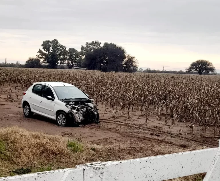Volantazo para esquivar un perro: un automovilista chocó contra una columna en el acceso a Winifreda y salió ileso