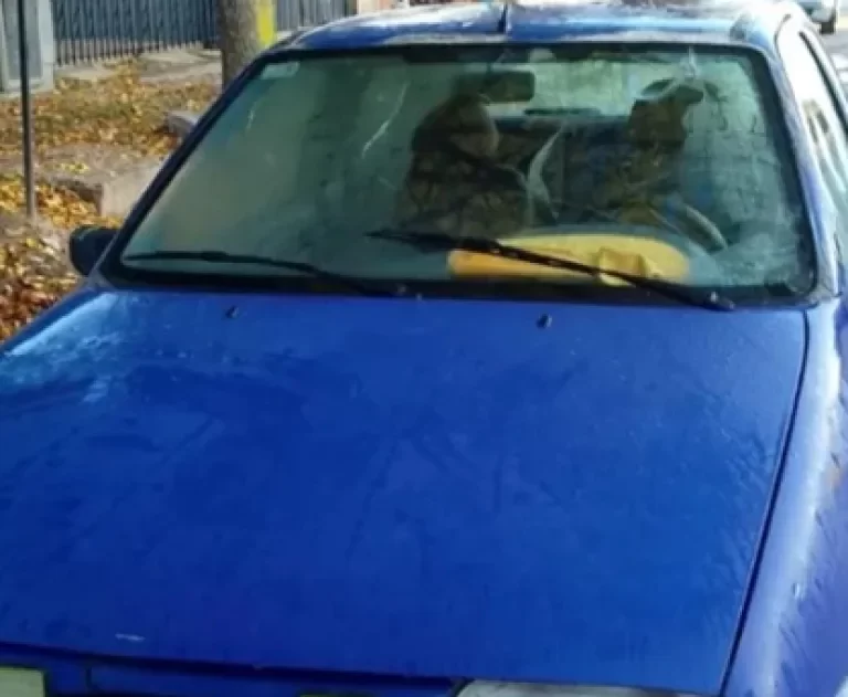 Robaron un auto en Alta Italia y detuvieron a dos sospechosos en General Pico