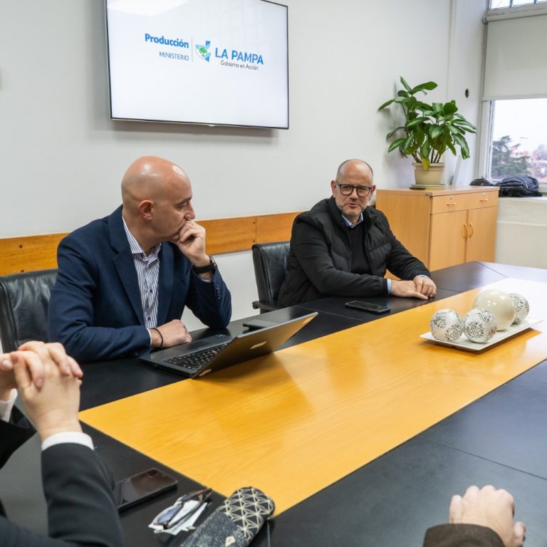 Genneia invertirá casi US$ 30 millones en un sistema de almacenamiento de energía en Santa Rosa