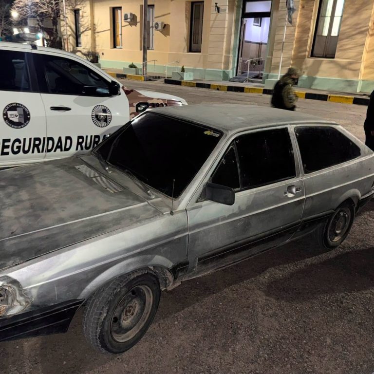 Insólito operativo en La Pampa: cuatro cazadores, cinco perros y un jabalí dentro de un Gol