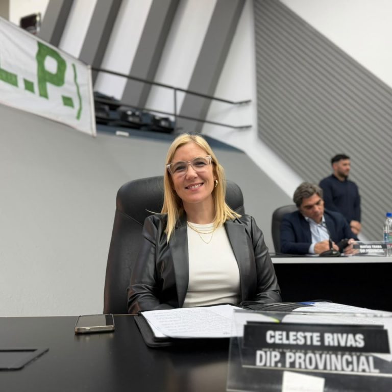 Rivas pidió informes sobre las acciones para prevenir las apuestas digitales entre jóvenes