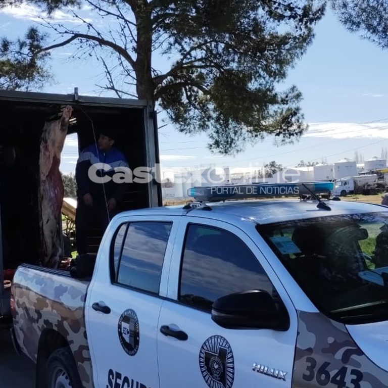 Operativo en la Ruta 102: la carne decomisada provenía de Monte Nievas y tenía como destino Castex