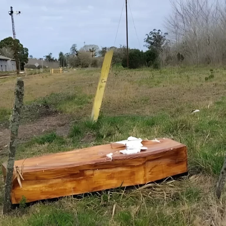 Macabro hallazgo: vecinos encontraron un falso ataúd junto a las vías del tren