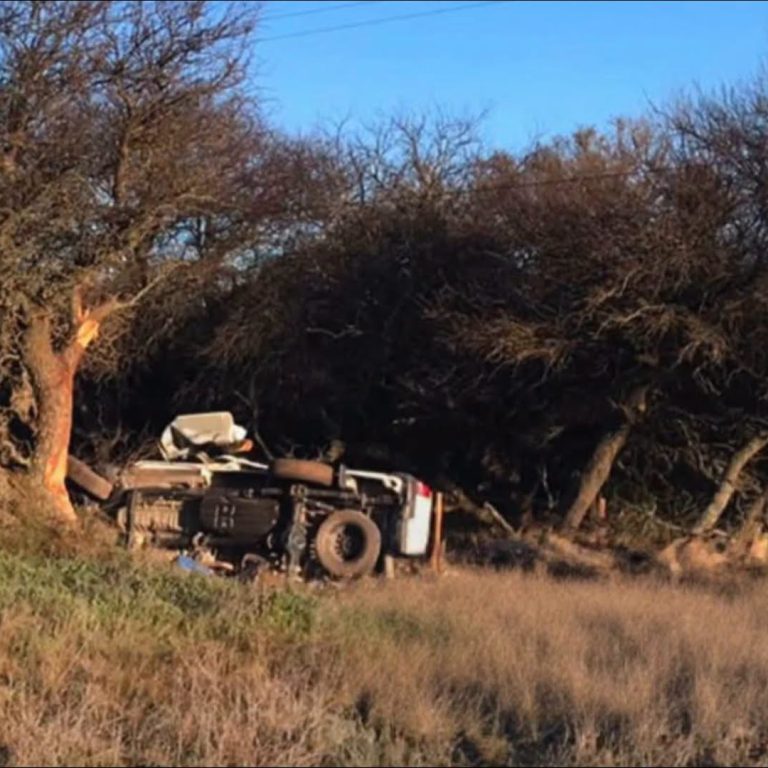 Un hombre murió tras un vuelco en la Ruta Provincial 10, entre Telén y Victorica