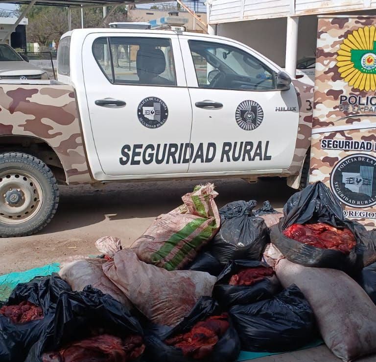 Secuestraron y destruyeron más de una tonelada de carne equina transportada ilegalmente