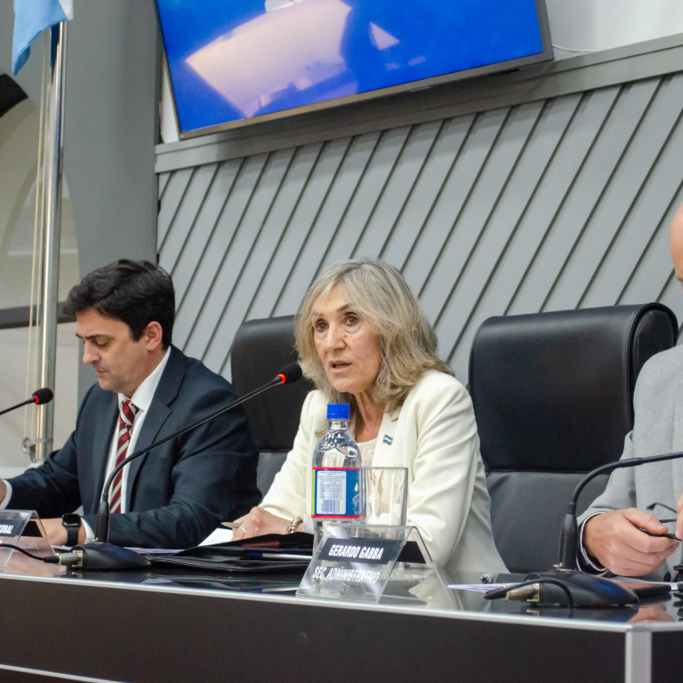 Cuatro diputadas integrarán la comisión que investigará el caso del bebé de Rancul