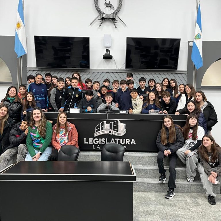 Estudiantes del Colegio Juan Humberto Morán vivieron una jornada educativa en Santa Rosa: fueron diputados por un día