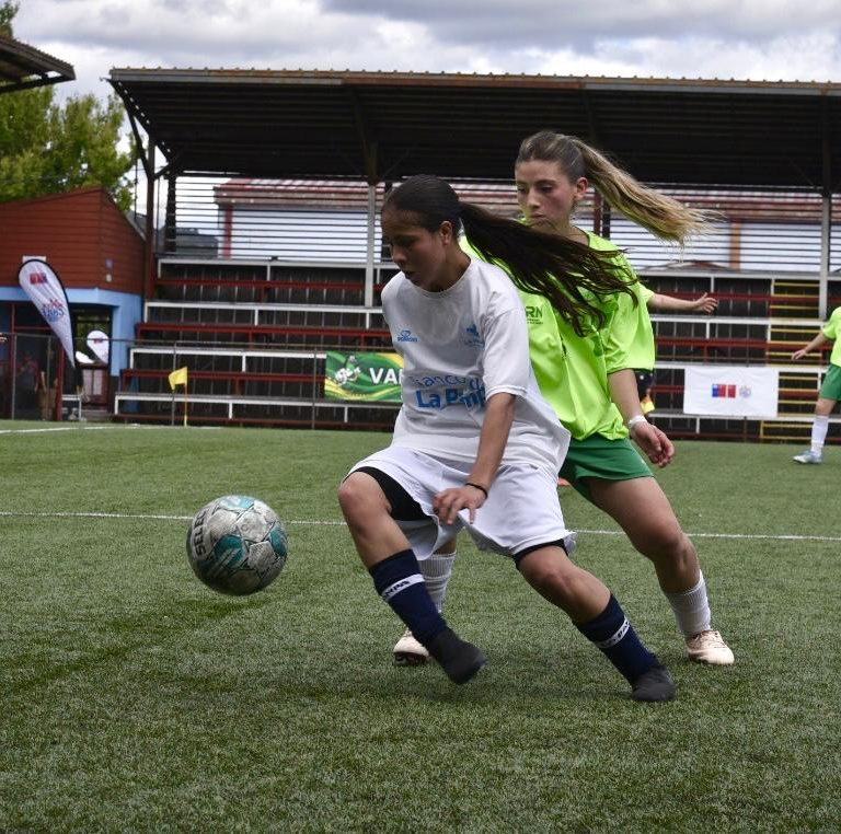 La Pampa cerró los Juegos de la Araucanía con 37 medallas y dos subcampeonatos