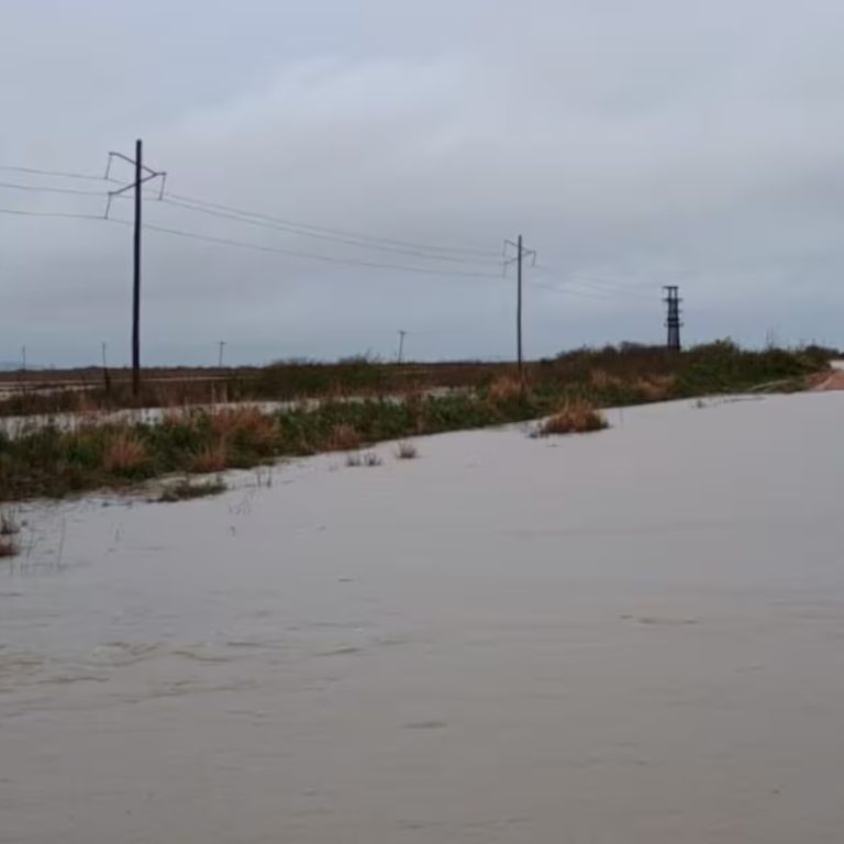 Preocupación en el campo: la crecida del río Uruguay amenaza con inundar zonas ganaderas de Corrientes y Entre Ríos