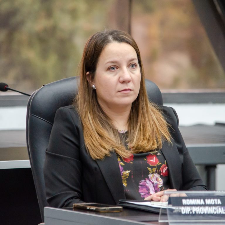 Romina Mota: “Estamos tratando de abordar la problemática cuando ya sucedió”